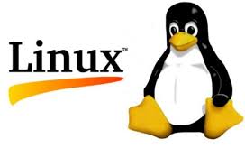 The Linux Penguin.